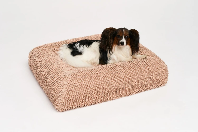 pies rasy papillon na legowisku ortopedycznym elio.bed pokrytym pokrowcem ochronnym z mikrofibry elio.quick cover