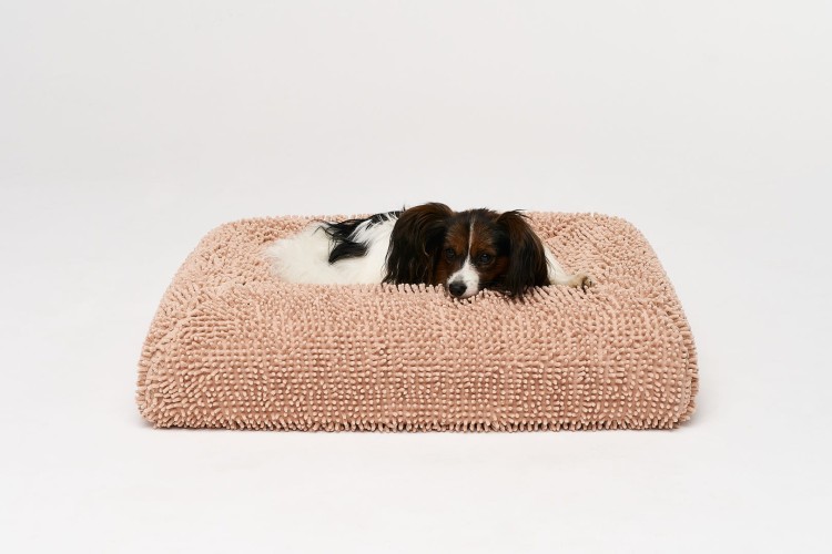 pies rasy papillon na legowisku ortopedycznym elio.bed pokrytym pokrowcem ochronnym z mikrofibry elio.quick cover
